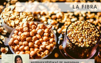 La fibra (parte 1)
