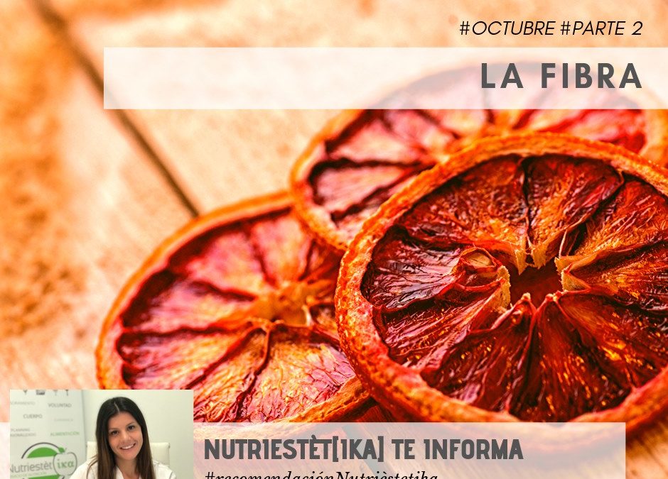La fibra (parte 2)