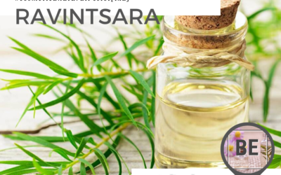 BellezaEco – Aceite Esencial de Ravintsara