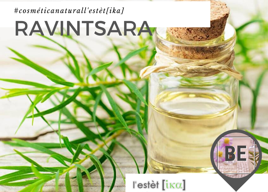 BellezaEco – Aceite Esencial de Ravintsara