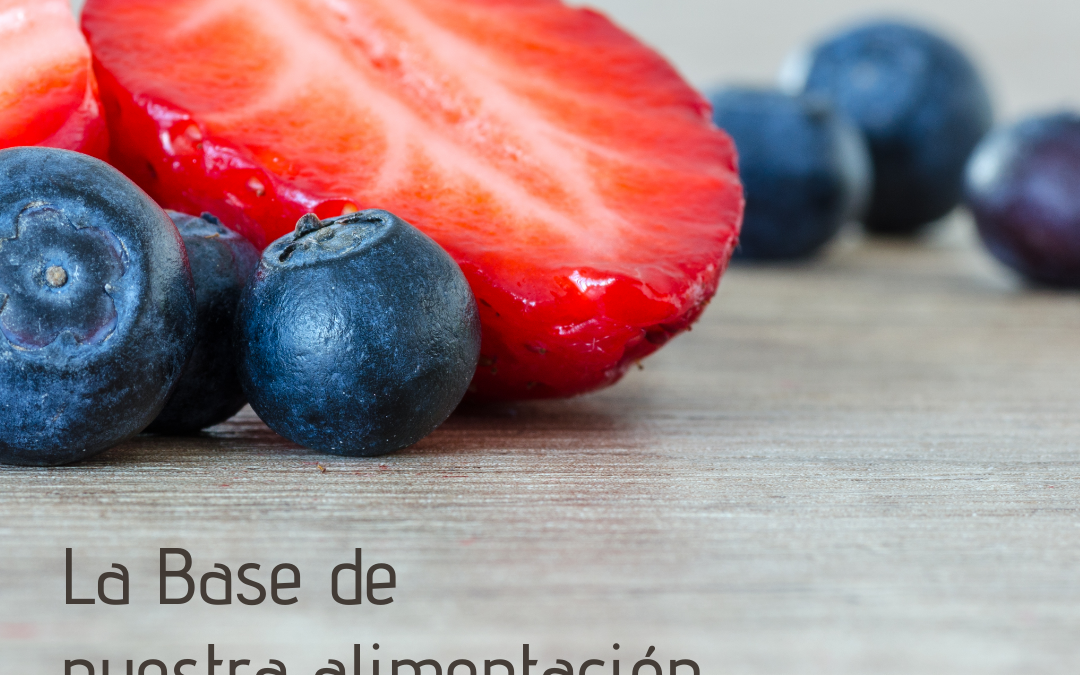 Frutas y verduras – La base de nuestra alimentación